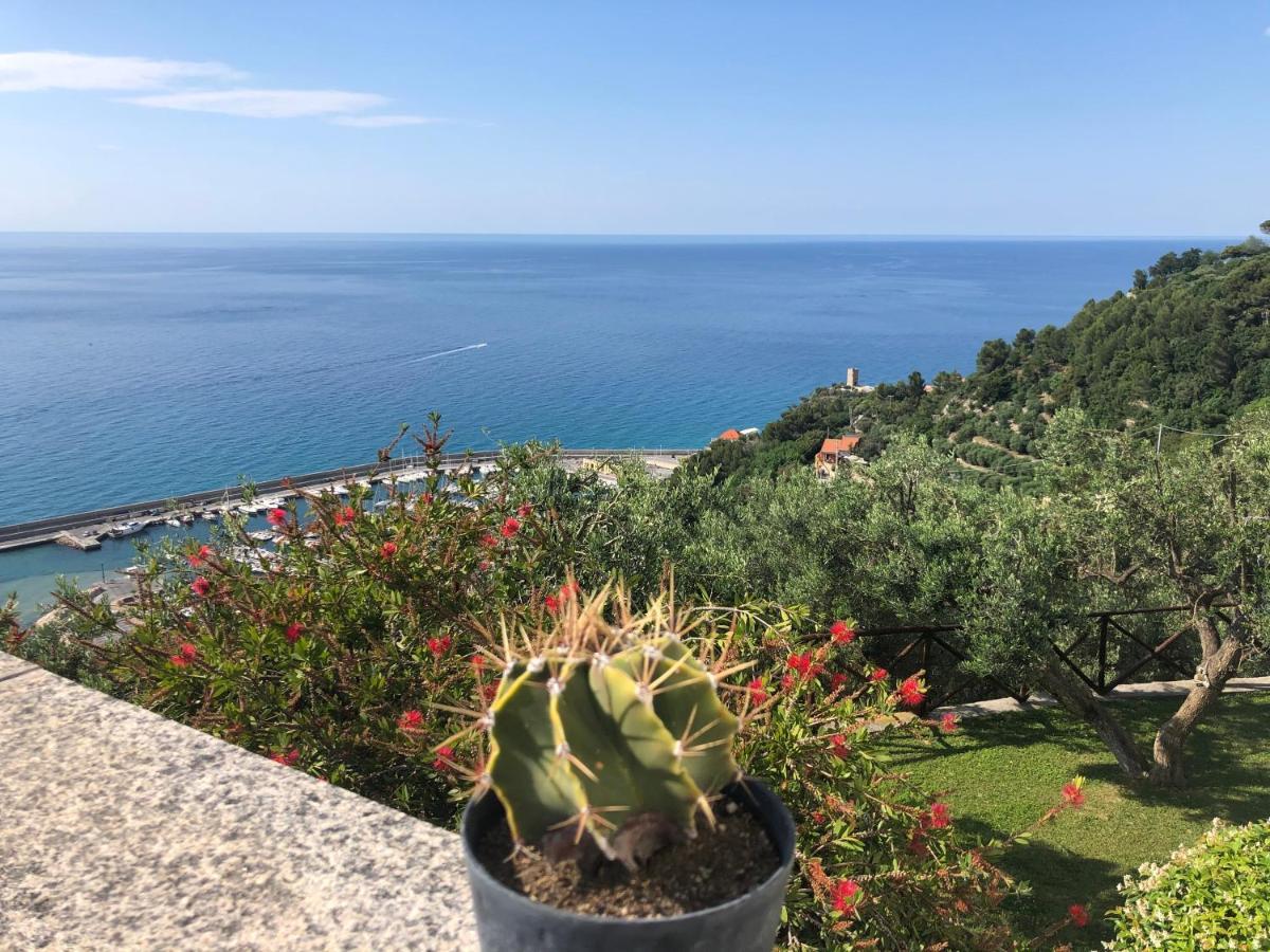 Villa Degli Ulivi B&B Finale Ligure Eksteriør bilde