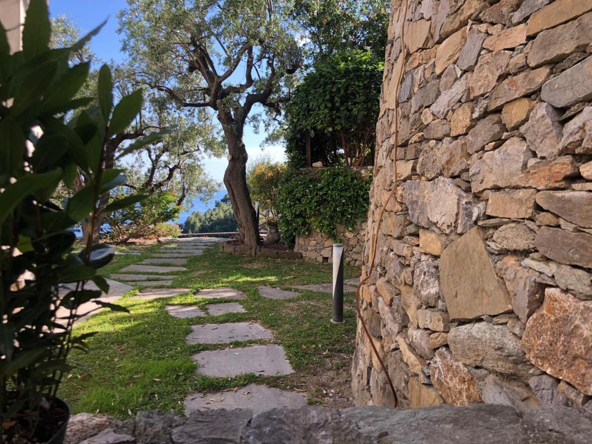 Villa Degli Ulivi B&B Finale Ligure Eksteriør bilde